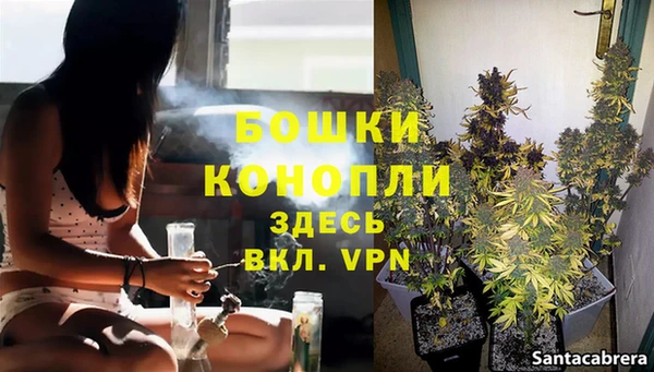 каннабис Алзамай