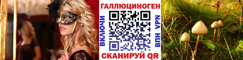 Псилоцибиновые грибы GOLDEN TEACHER  Катайск 